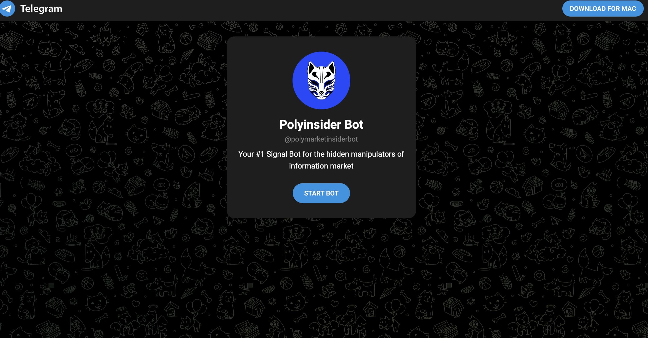 Polymarket Insider Bot preview